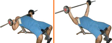8239benchprs