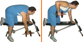 8239onearmrowing