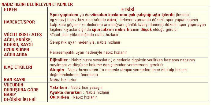 nabiz3