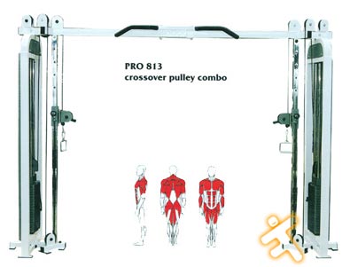 pro813